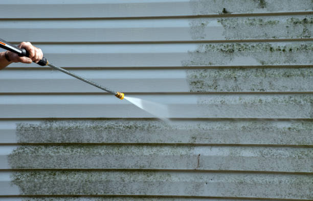 Why Choose Our Certified Pressure Washing Experts for Your Project Needs in Edinburg, VA?