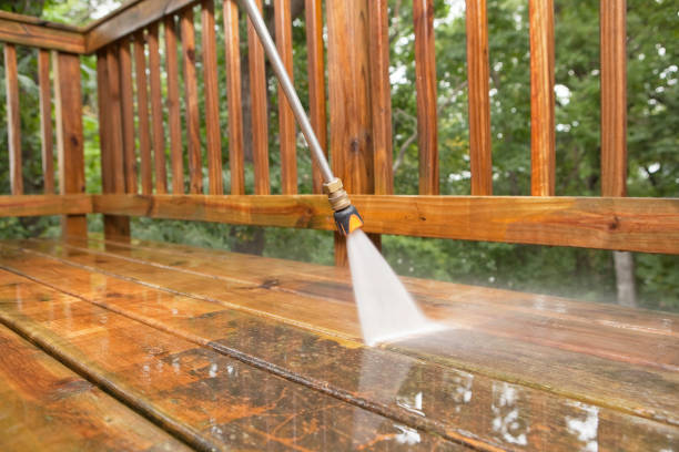 Roof Power Washing Services in Edinburg, VA